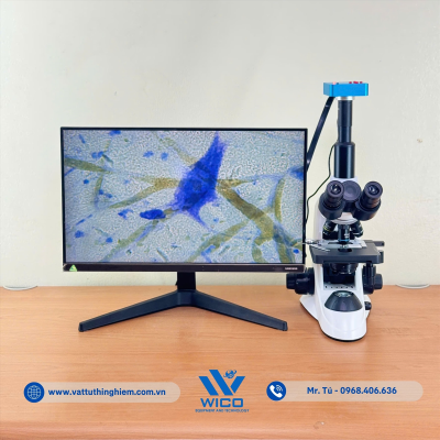 vttn-vuong-icc-1038-te-bao-than-kinh (2).jpg